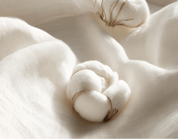 Organic Cotton