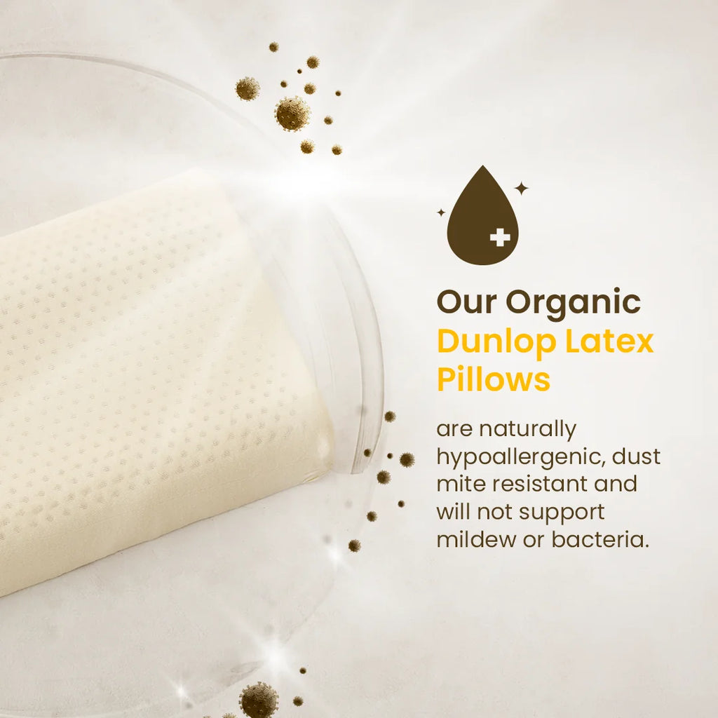 The Snooze-Tex Organic Latex Contour Molded Pillow - lifestyle photo 5