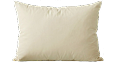 Signature Organic Cotton Pillow