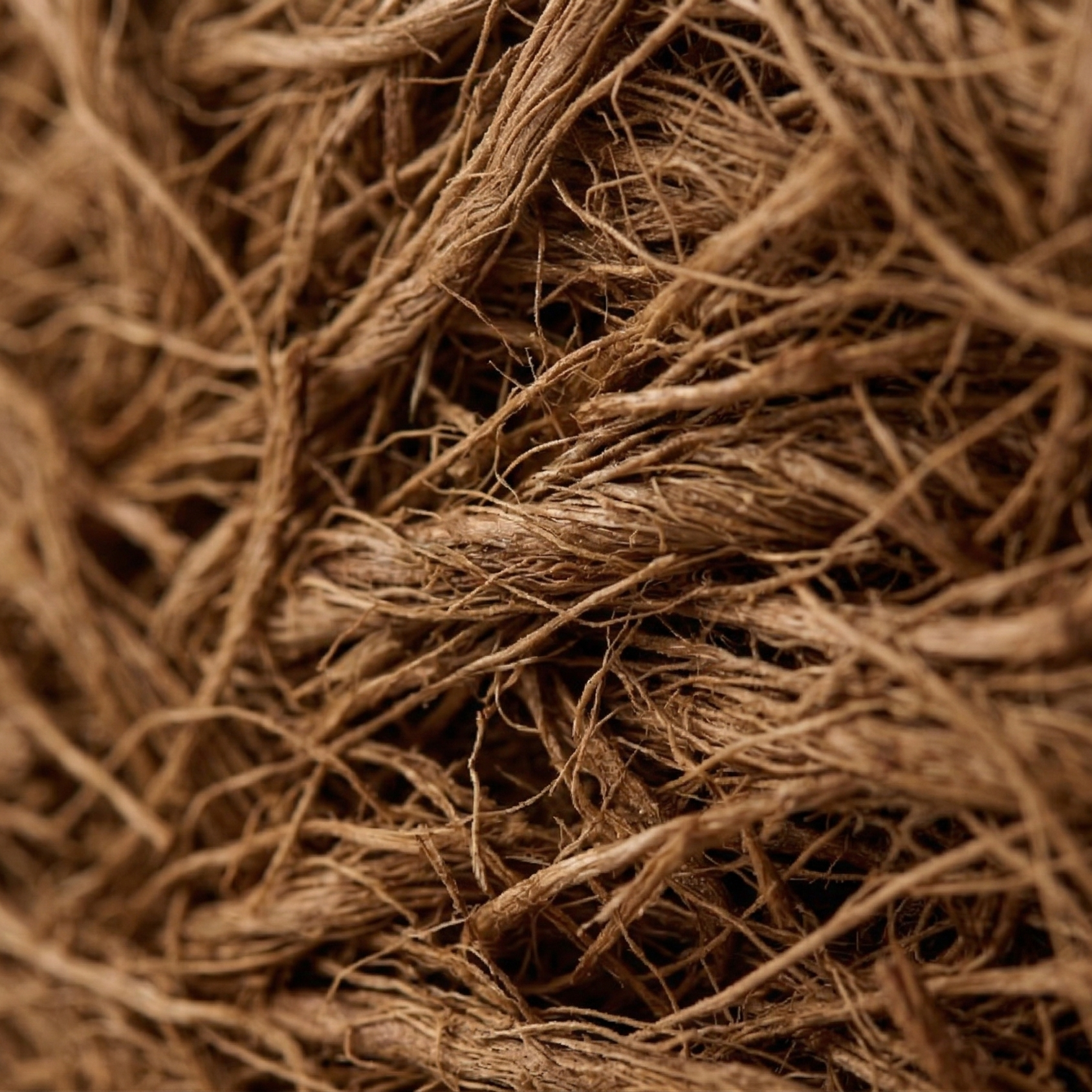 Close-up of organic coconut fibers, used in the Ultimate Snooze - Snooze NEst Crib Mattress for babies
