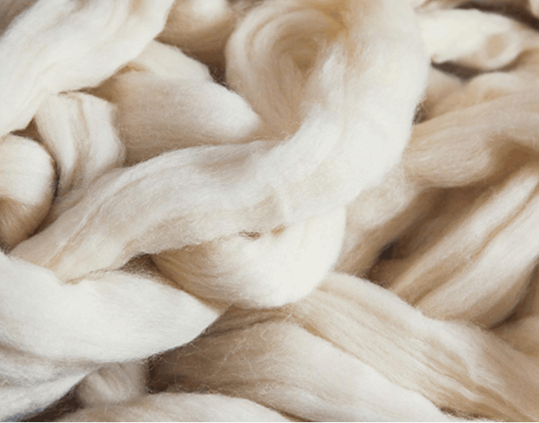 New Zealand Wool