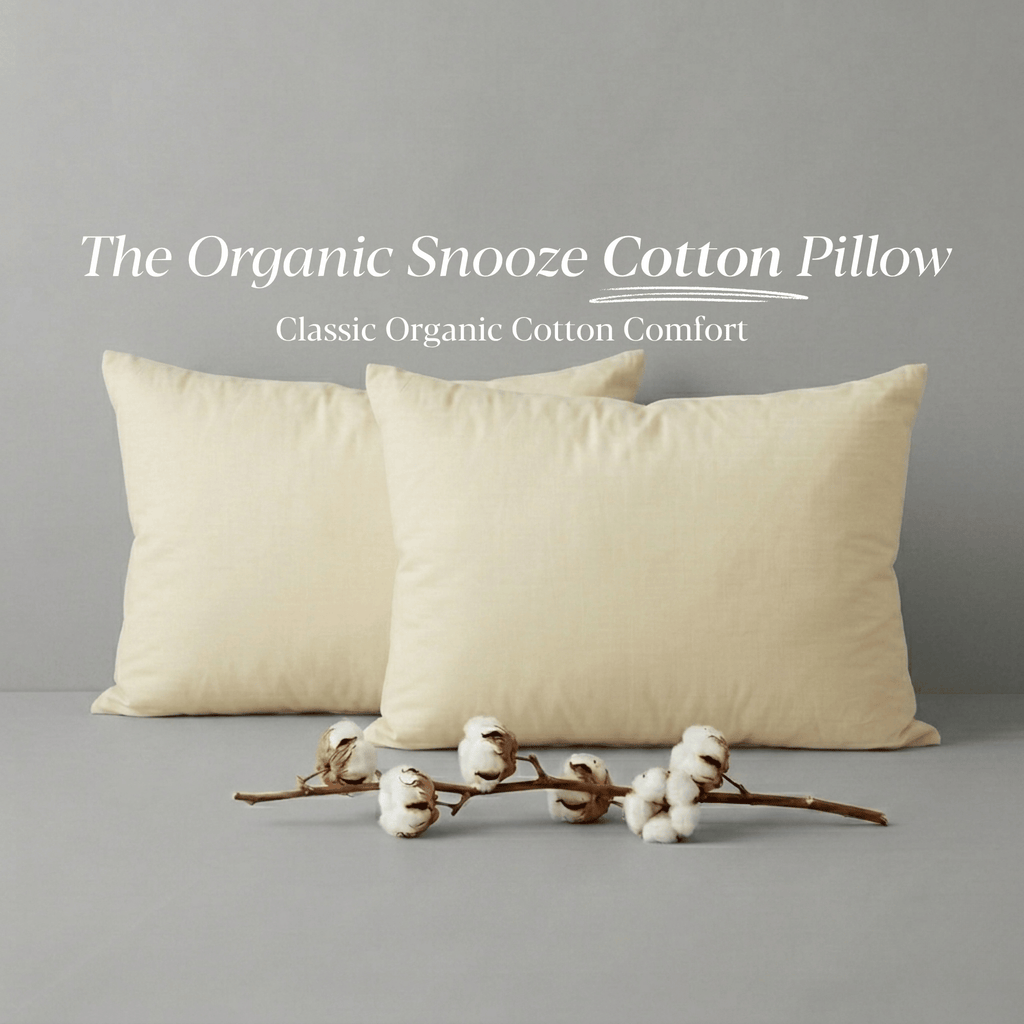 Two-Pack Signature Organic Cotton Pillows
