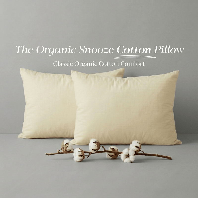 Signature Organic Cotton Pillows