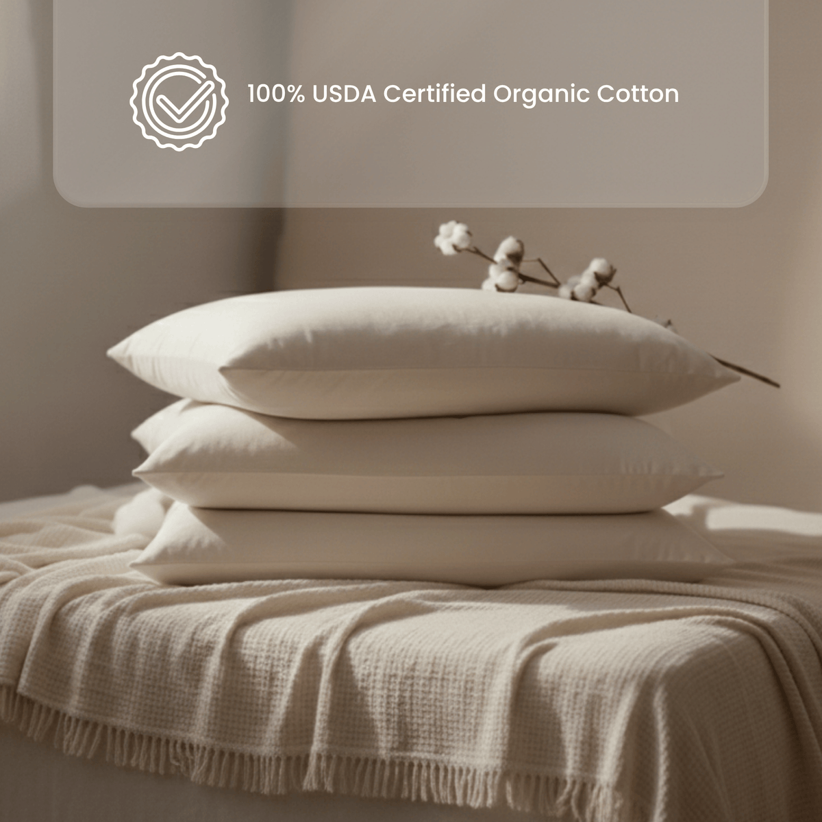 Signature Organic Cotton Pillows