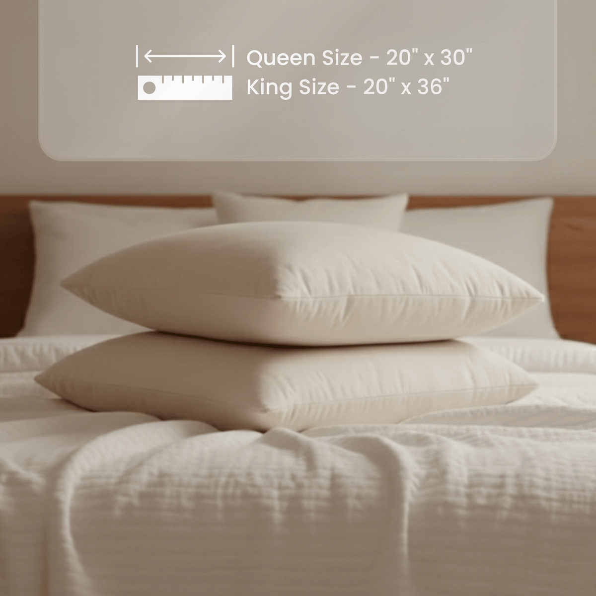 Signature Organic Cotton Pillows