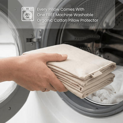 Signature Organic Cotton Pillows